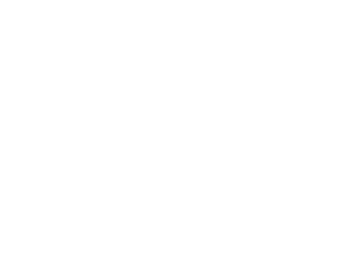 Blikk